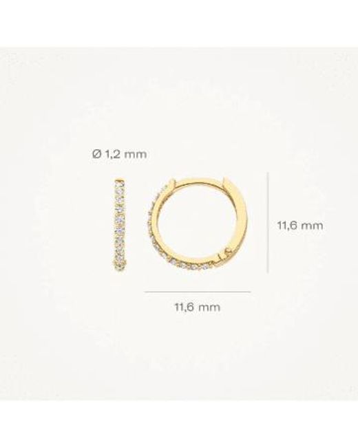 Blush Lingerie Metallic 14k Gold Zirconia Pave Hoop 11.6mm Earrings