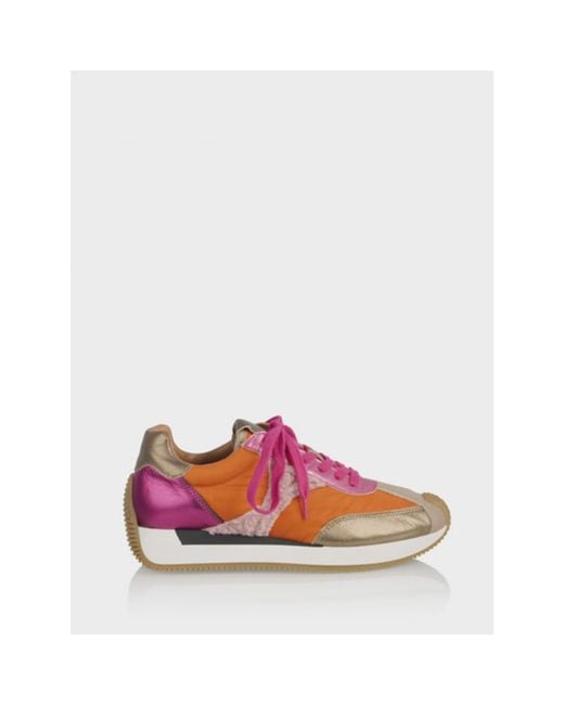 Dwrs Label Pink Scobey Scuna Sneakers