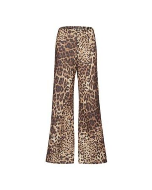 Sisters Point Natural Neat Pants Leopard Xs