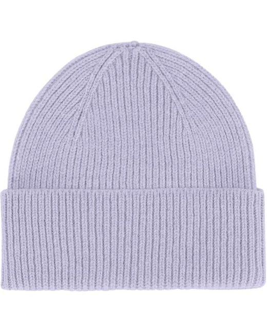 COLORFUL STANDARD Purple Soft Merino Wool Beanie Hat