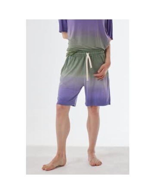 Daniele Fiesoli Green Linen Faded Design Shorts /purple Small for men
