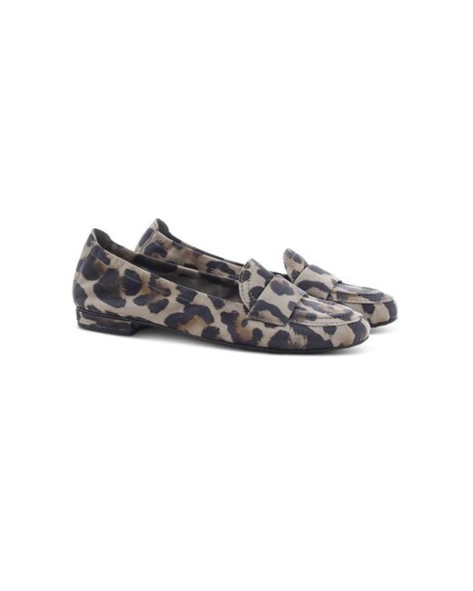Kennel & Schmenger Multicolor Jaguar bedruckte flache Malu -Schuhe
