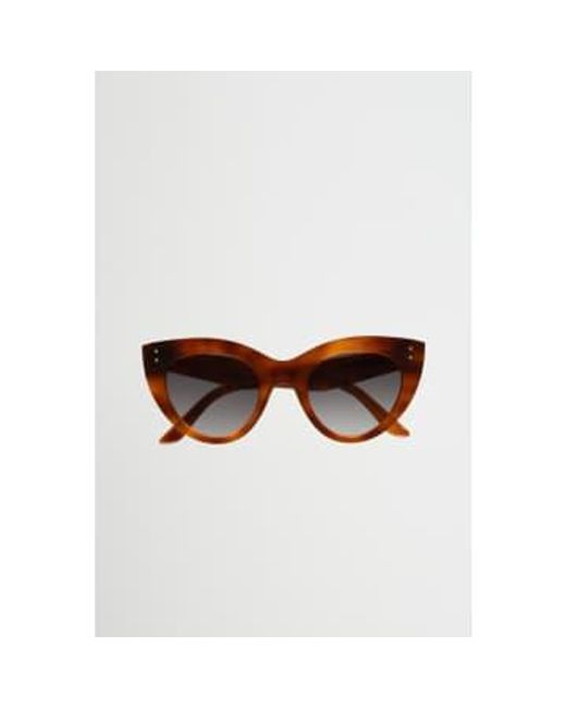 Monokel Brown June Amber Gradient Lens Sunglasses Os