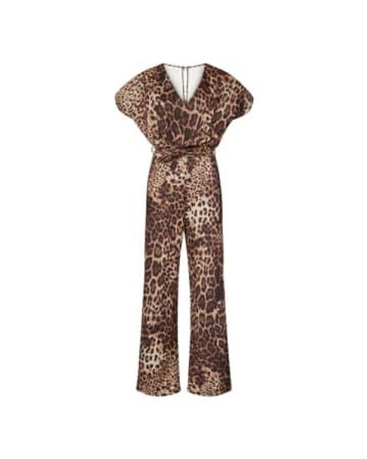 Sisters Point Brown Jumpsuit