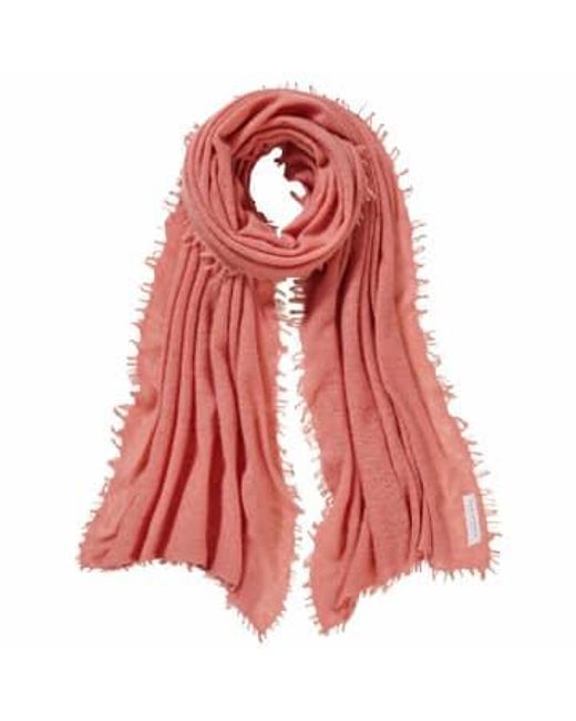 Hand Felted Cashmere Soft Scarf Papaya Gift di PUR SCHOEN in Red