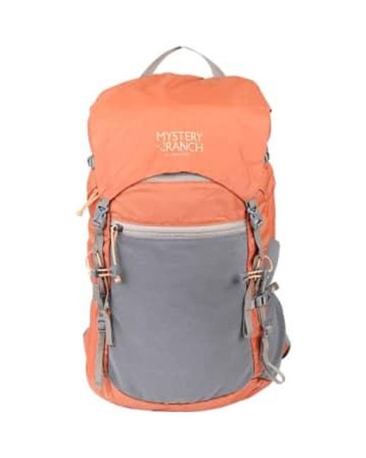 Mystery Ranch Pink In And Out 22 Backpack for men