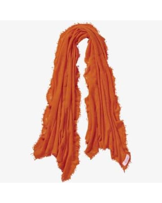 Hand Felted Cashmere Soft Scarf Gift di PUR SCHOEN in Orange