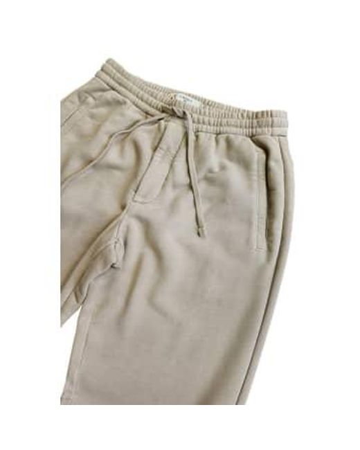 Cn4028 cashmere touch jogging bottoms in rainy days Circolo 1901 en coloris Gray