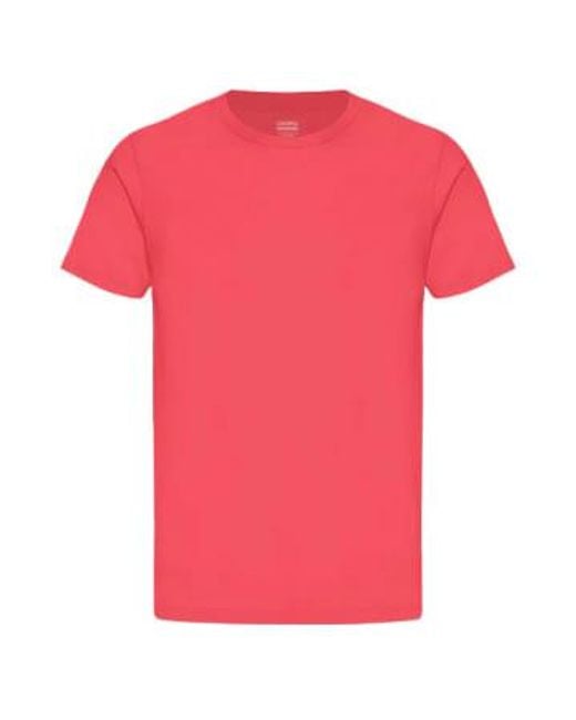 Classic Organic T Shirt Tangerine di COLORFUL STANDARD in Pink da Uomo