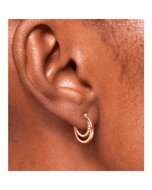 Estella Bartlett Metallic Twisted Double Hoop Earrings Plated