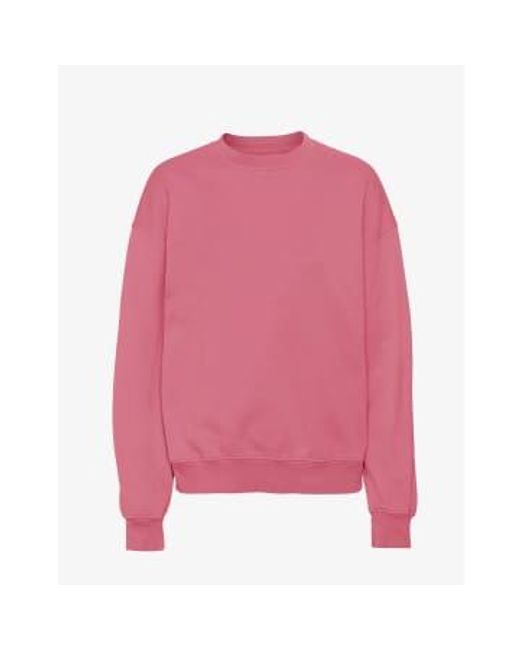 COLORFUL STANDARD Pink Raspberry Organic Cotton Crew Neck Sweatshirt M for men