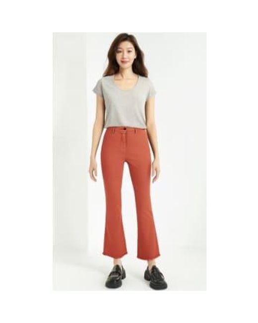 White Sand Red Ava Cotton Coral Pants 38