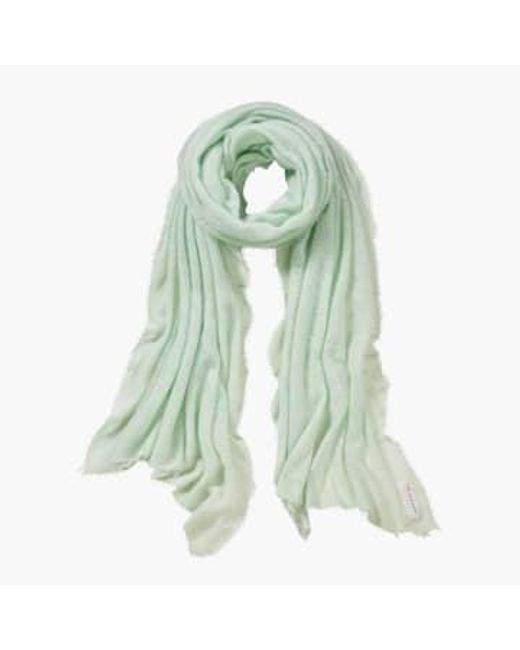 PUR SCHOEN Green Hand Felted Cashmere Soft Scarf + Gift Wool