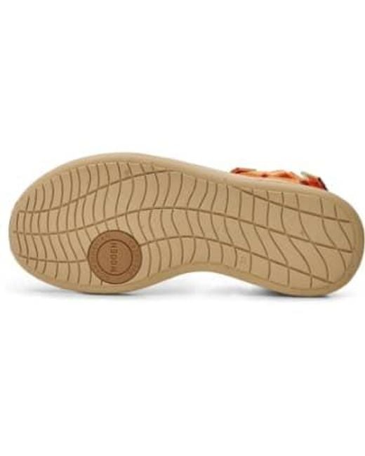 Lignes sandales-tigre-wl926 Woden en coloris Brown
