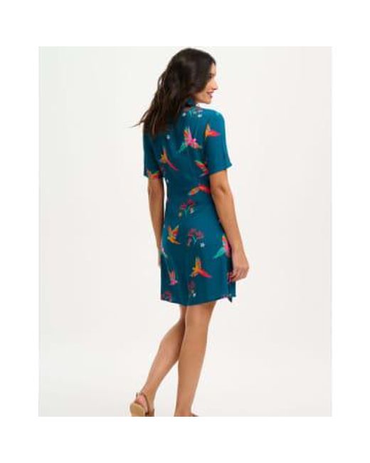 Sugarhill Blue Dessie Shirt Dress , Rainbow Parrots 8