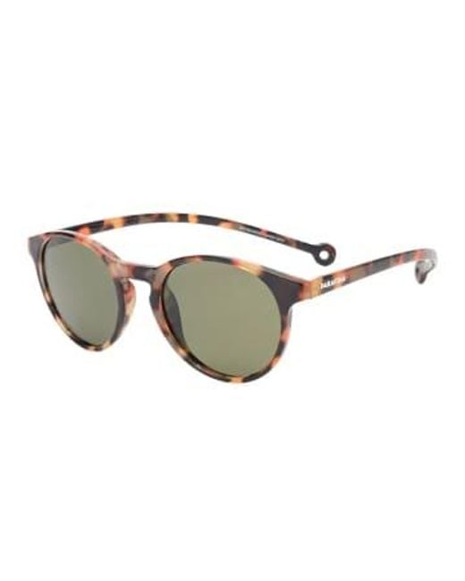 Parafina Brown Eco Friendly Sunglasses Isla Tortoise 100% Recycled Pet