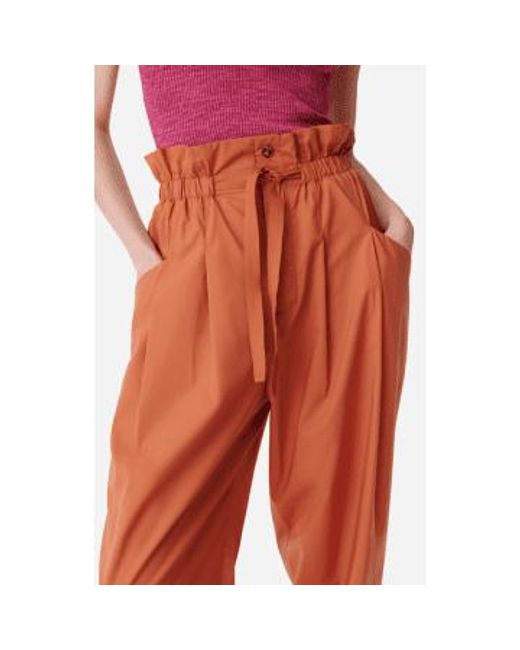 Vanessa Bruno Orange Casimir Havana High-waisted Trousers