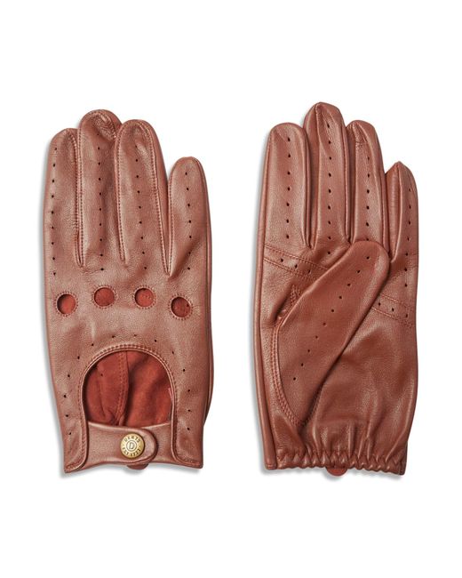 Dents Tan Delta Classic Leather Driving Gloves in Brown for Men | Lyst UK