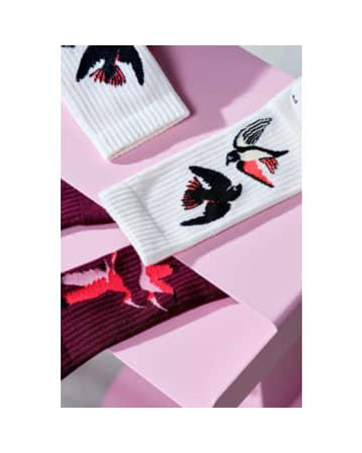 Sport Socks Swallow Pair Sustainable di Adam Lippes in White