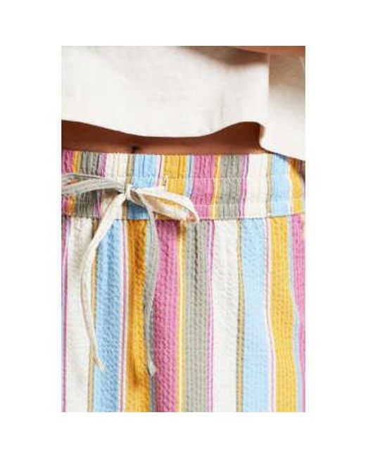 Dedicated Multicolor Multi Klippan Club Stripe Skirt / S