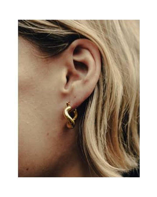 Boucles d'oreilles cerceau liqui d'or, or imperméable sans ternissement 18k Nordic Muse en coloris Brown