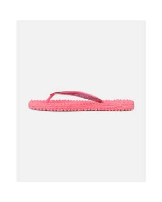 Glitter Flip Flops 1 di Ilse Jacobsen in Pink