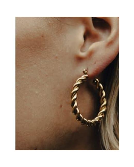 Nordic Muse Brown Twist Hoop Earrings, 18k Tarnish-free Waterproof