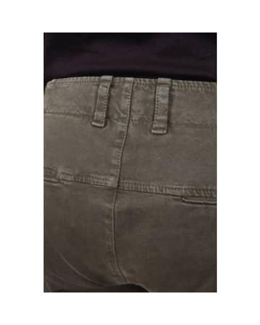 Transit Gray Cotton Stretch Regular Fit Chinos for men