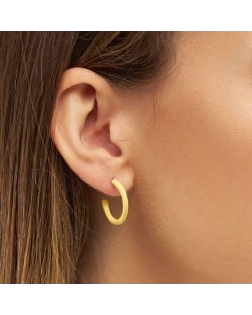 Lulu Metallic Color Hoops Medium Earrings /