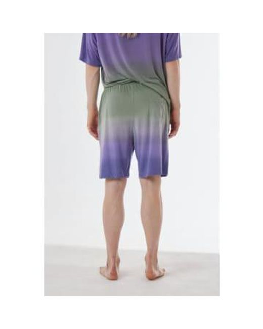 Daniele Fiesoli Green Linen Faded Design Shorts /purple Small for men