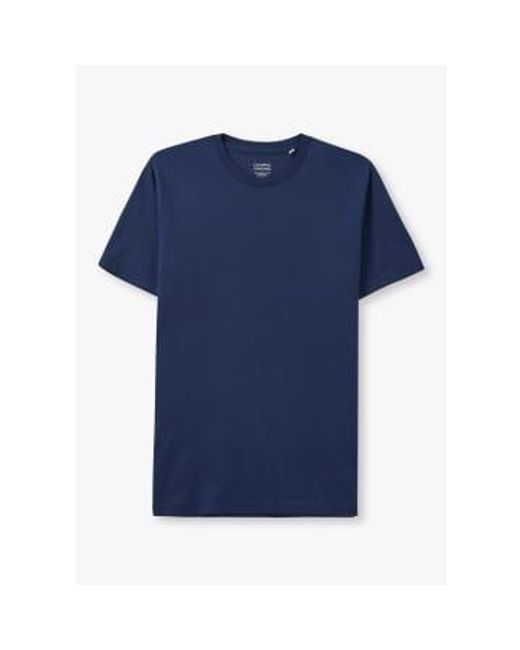 COLORFUL STANDARD Herren klassisches bio-t-shirt in blau in Blue für Herren