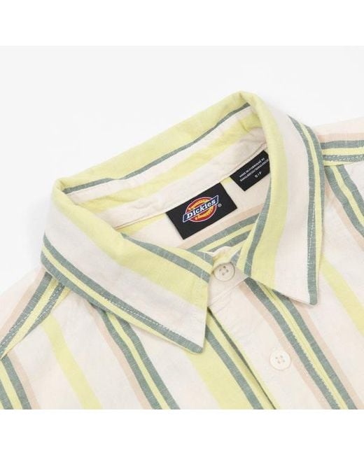 Dickies Metallic Glade Spring Striped Shirt for men