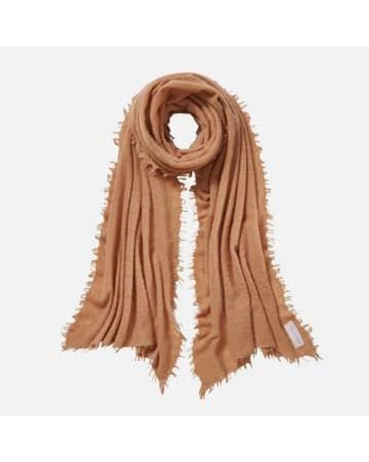 PUR SCHOEN Brown Camel Hand Felted Cashmere Soft Scarf + Gift Camel