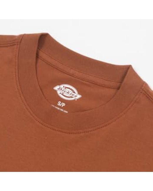 Camiseta gráfica dumfries en marrón claro Dickies de hombre de color Brown
