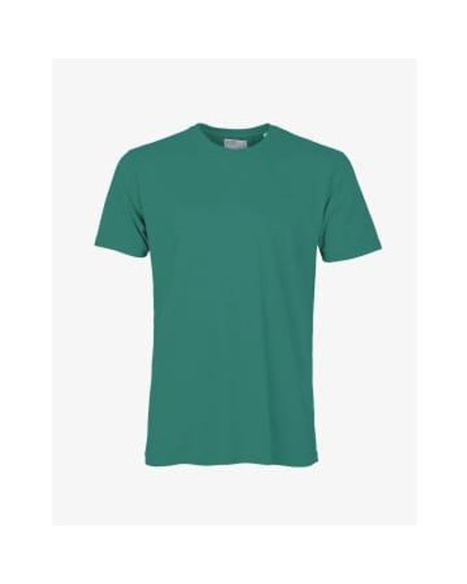 Camiseta algodón orgánico pino ver COLORFUL STANDARD de hombre de color Green