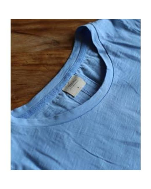 Cashmere Fashion Blue The Shirt Project Organic Cotton Shirt Rundmhals Short -arm