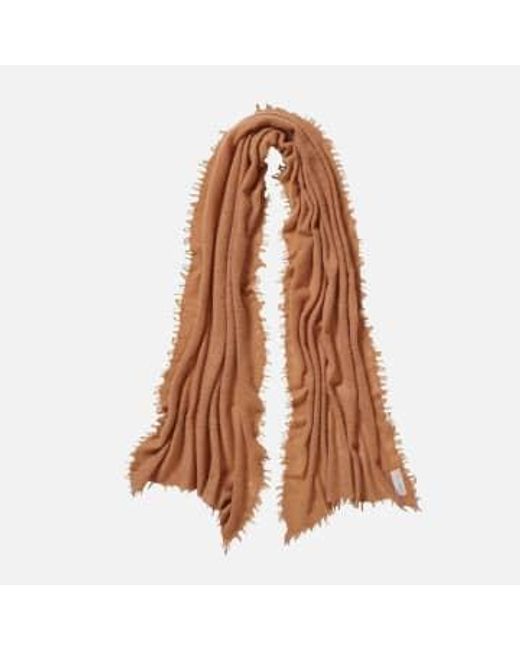 PUR SCHOEN Brown Camel Hand Felted Cashmere Soft Scarf + Gift Camel