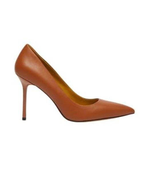 Marella Brown Court Shoes 6