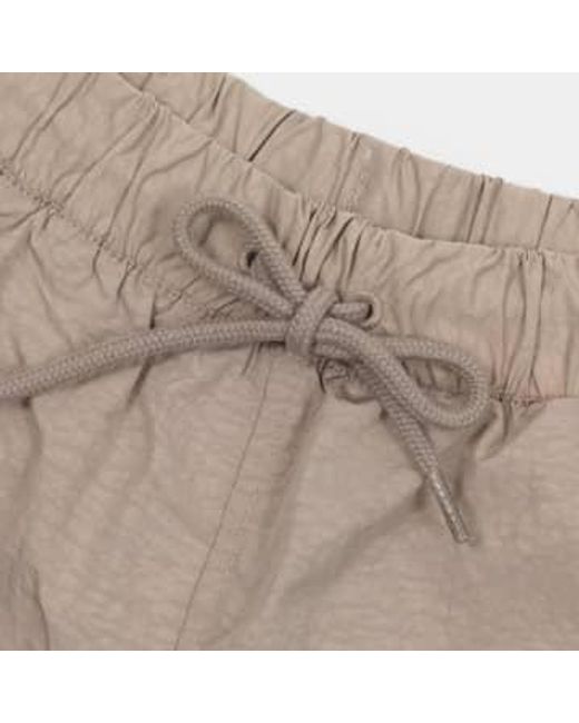Womens Fincastle Shorts In di Dickies in Brown