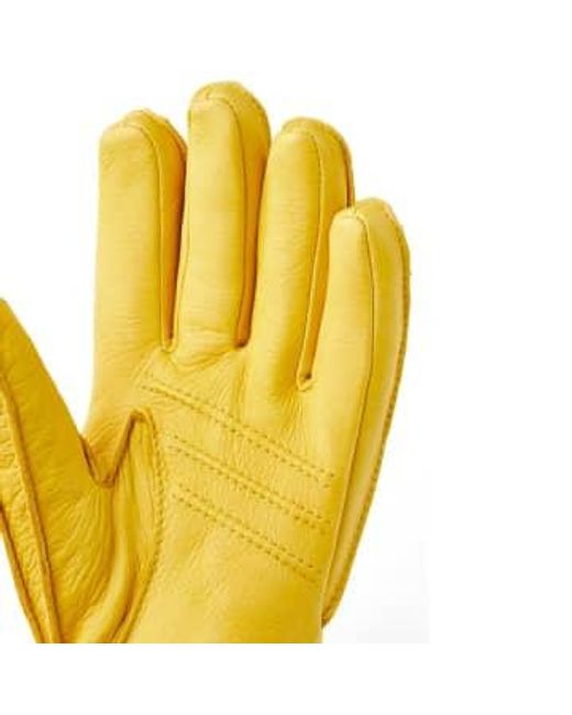Deerskin Primaloft Glove Yellow di Hestra da Uomo