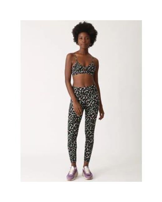Electric and Rose Multicolor Electric & Sunset legging Electric Leopard