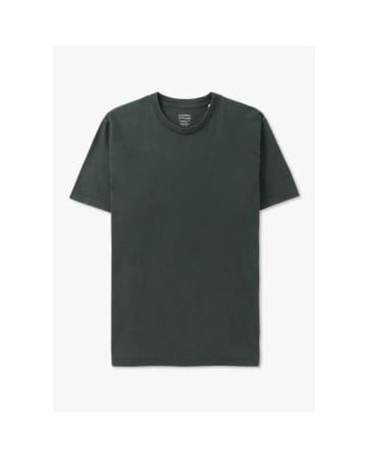 Mens Classic Organic T Shirt In Hunter 2 di COLORFUL STANDARD in Green da Uomo