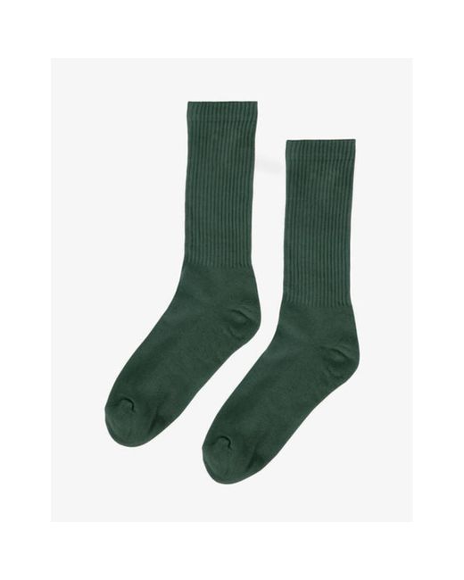 COLORFUL STANDARD Calcetines Organic Active in Green for Men | Lyst