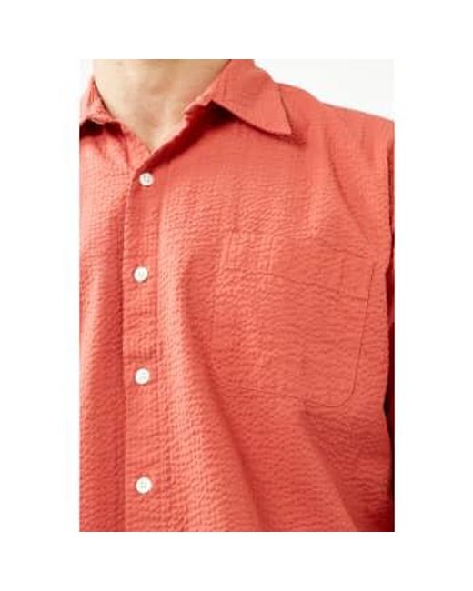 La Paz Pink Spiced Silveira Panama Shirt for men