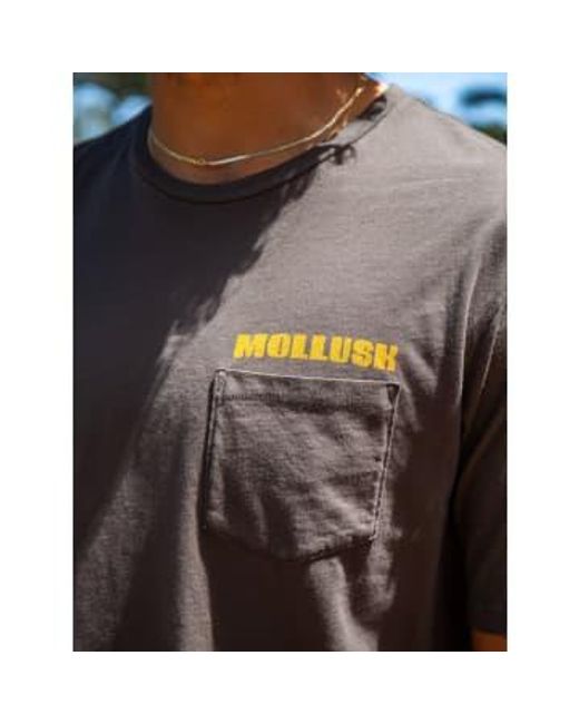 Mollusk Green Transition Tee Faded S for men