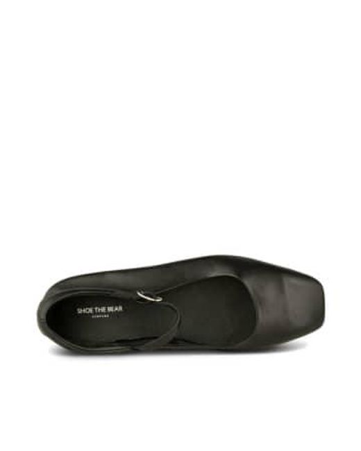 Maya balerrina sandal Shoe The Bear en coloris Black
