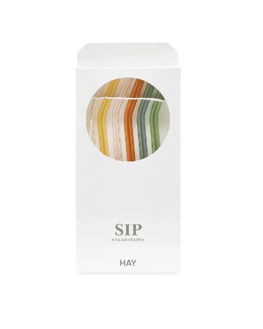 Hay Sip Pack Of Six Multicolor Straws in Metallic | Lyst