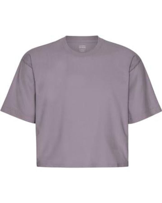 COLORFUL STANDARD Purple Haze Organic Boxy Crop T-shirt Xs