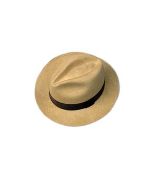 Sombrero clásico panamá tobacco Bornisimo de hombre de color Brown