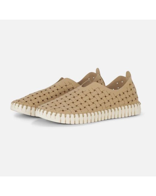 Ilse jacobsen sales tulip sneakers zappos